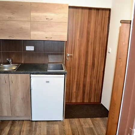 Guest house Svaty Jan *
