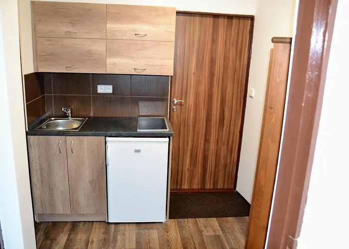 Guest house Svaty Jan 3*